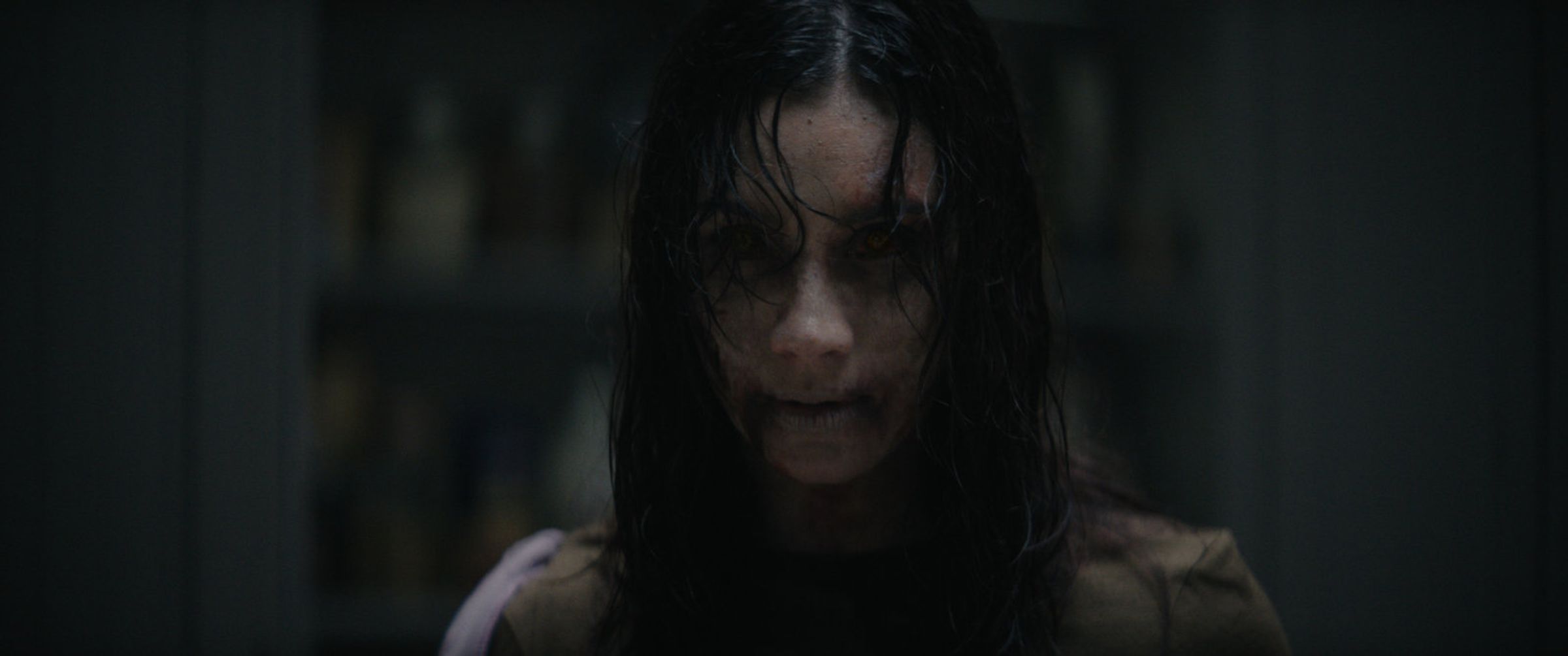 Evil Dead Burn (Blu-ray)