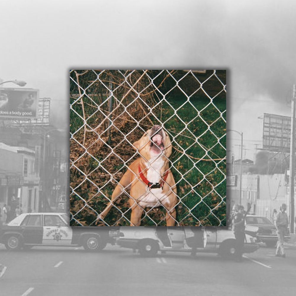 Knocked Loose - Pop Culture 12"