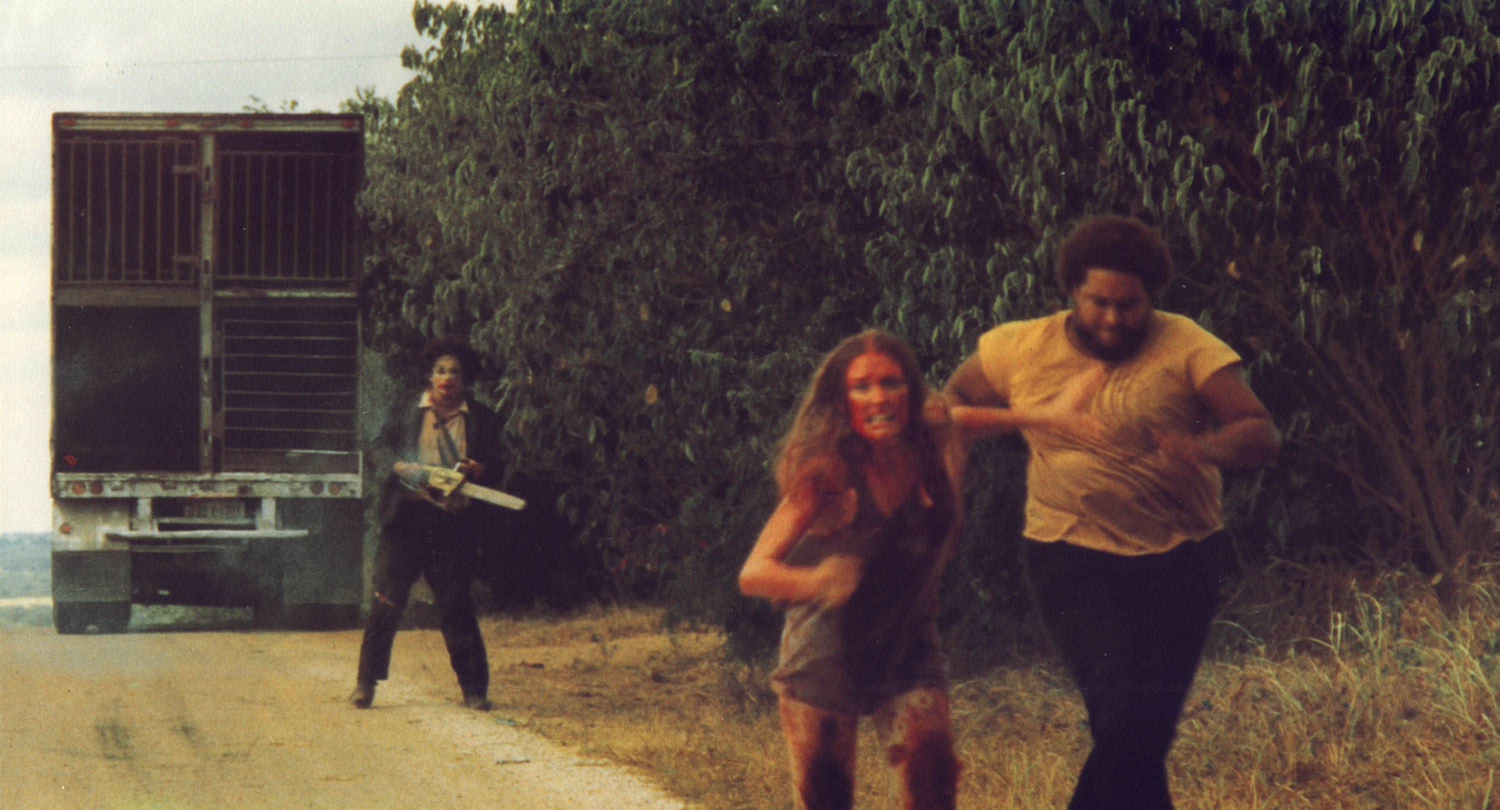 The Texas Chainsaw Massacre (DVD)