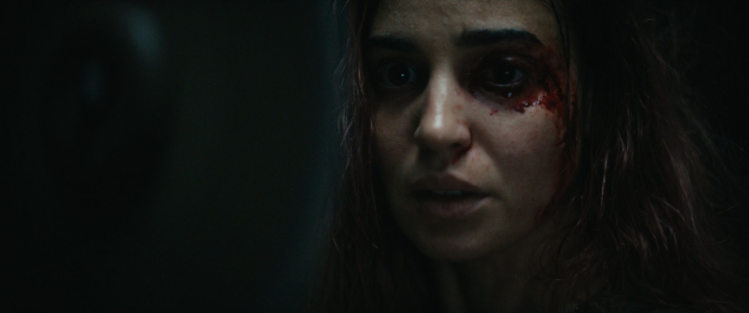 Evil Dead Burn (Blu-ray)